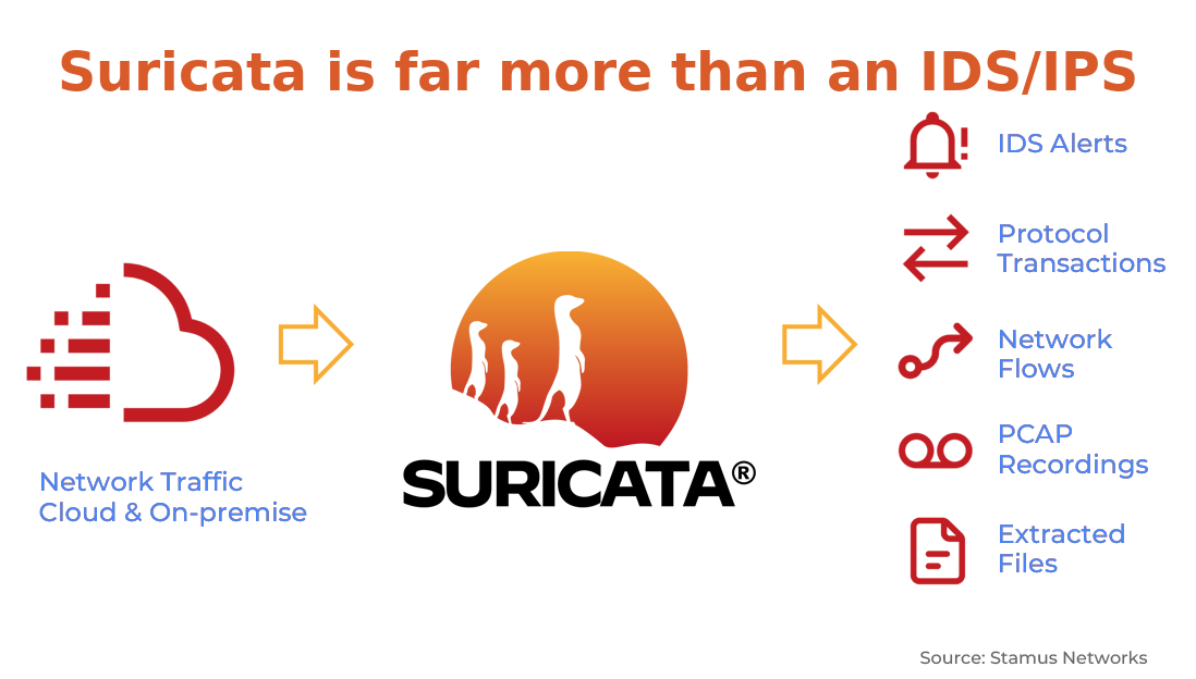 Test d'intrusion Suricate